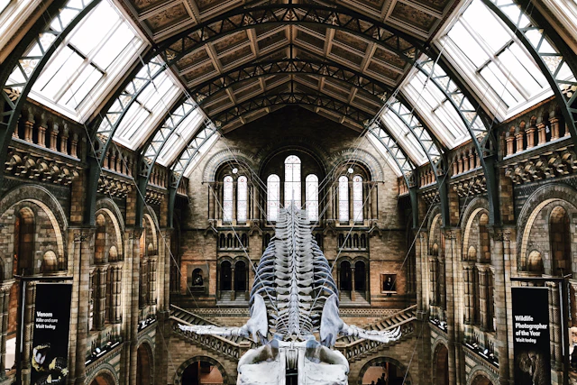 Natural History Museum London ticket visit photo