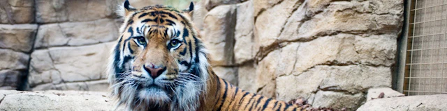 Zsl London Zoo ticket visit photo
